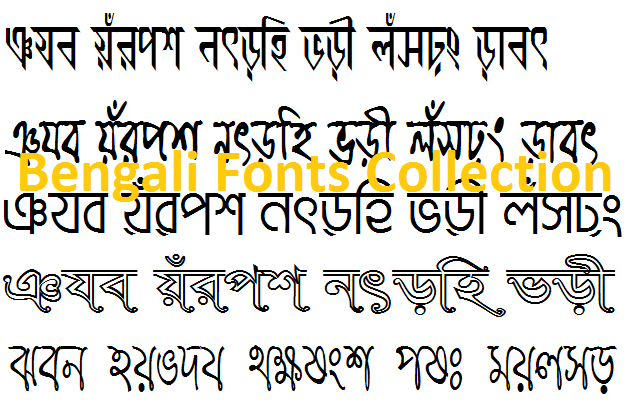 bijoy bangla font download